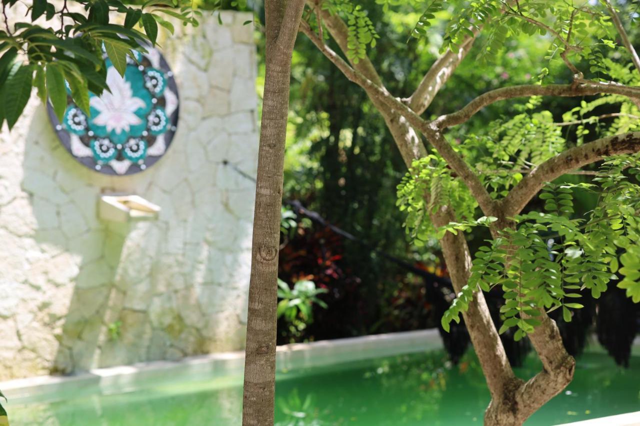Huaya Camp Διαμέρισμα Πλάγια Ντελ Κάρμεν Εξωτερικό φωτογραφία