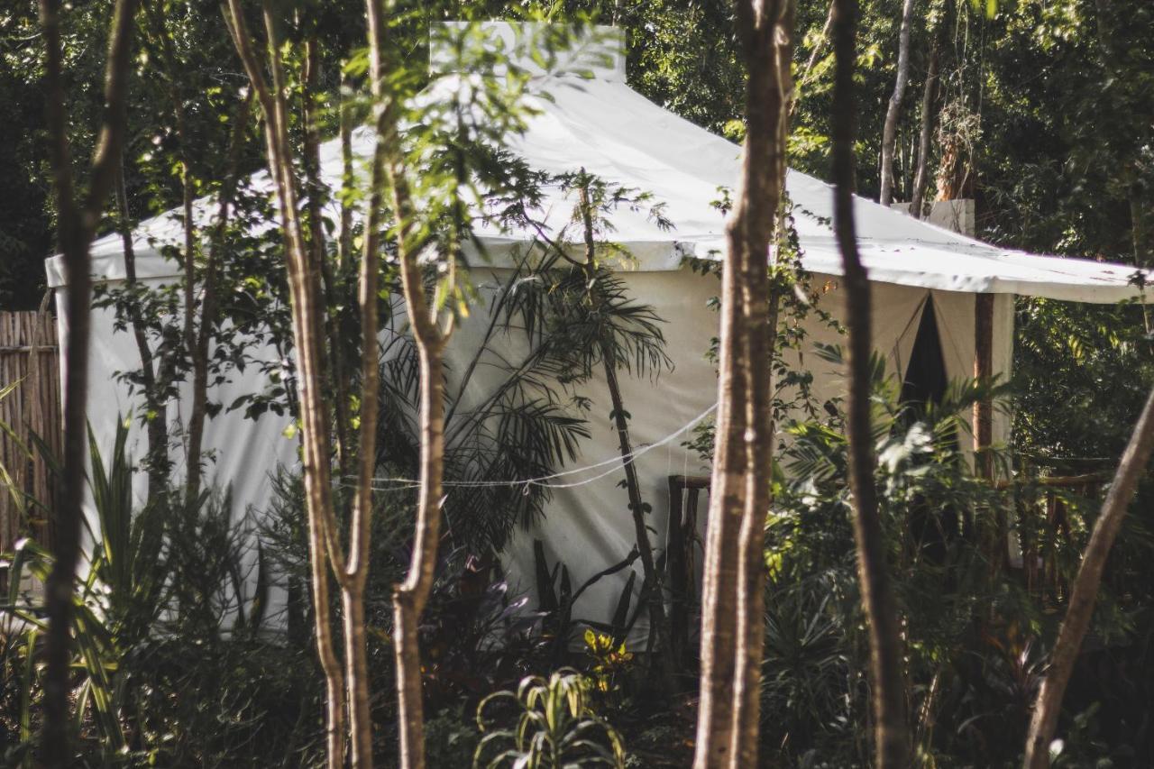 Huaya Camp Διαμέρισμα Πλάγια Ντελ Κάρμεν Εξωτερικό φωτογραφία